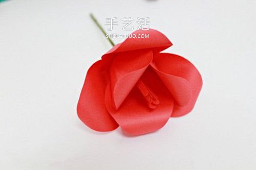 手揉紙手工制作超美郁金香花的做法 -  rpnrmr.com