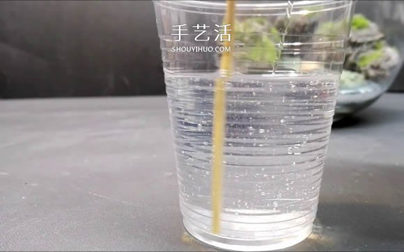 DIY微景觀的制作步驟詳細(xì)視頻教程 -  rpnrmr.com