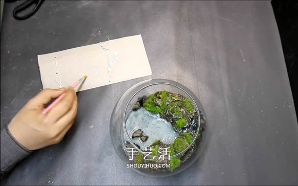 DIY微景觀的制作步驟詳細(xì)視頻教程 -  rpnrmr.com