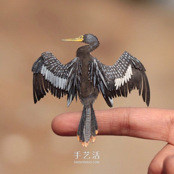 365天的堅(jiān)持！剪紙出微型相思鳥(niǎo)、黃鸝…… -  rpnrmr.com