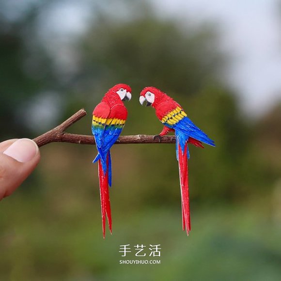 365天的堅(jiān)持！剪紙出微型相思鳥(niǎo)、黃鸝…… -  rpnrmr.com