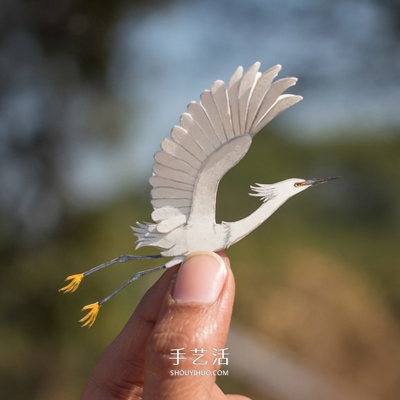365天的堅(jiān)持！剪紙出微型相思鳥(niǎo)、黃鸝…… -  rpnrmr.com