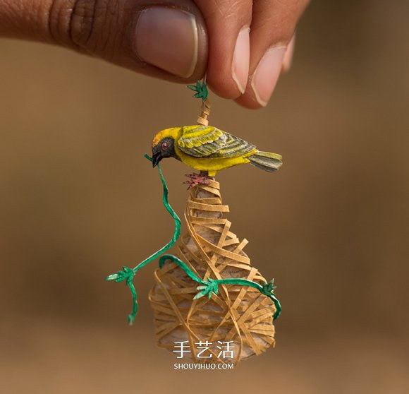 365天的堅(jiān)持！剪紙出微型相思鳥(niǎo)、黃鸝…… -  rpnrmr.com