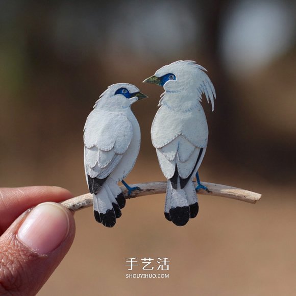 365天的堅(jiān)持！剪紙出微型相思鳥(niǎo)、黃鸝…… -  rpnrmr.com