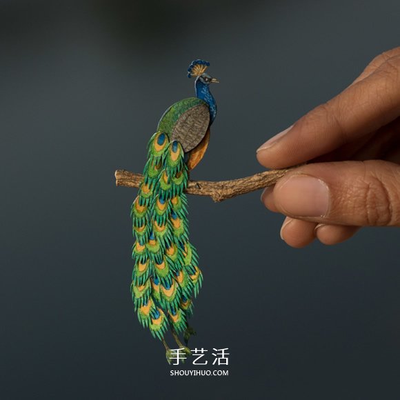 365天的堅(jiān)持！剪紙出微型相思鳥(niǎo)、黃鸝…… -  rpnrmr.com