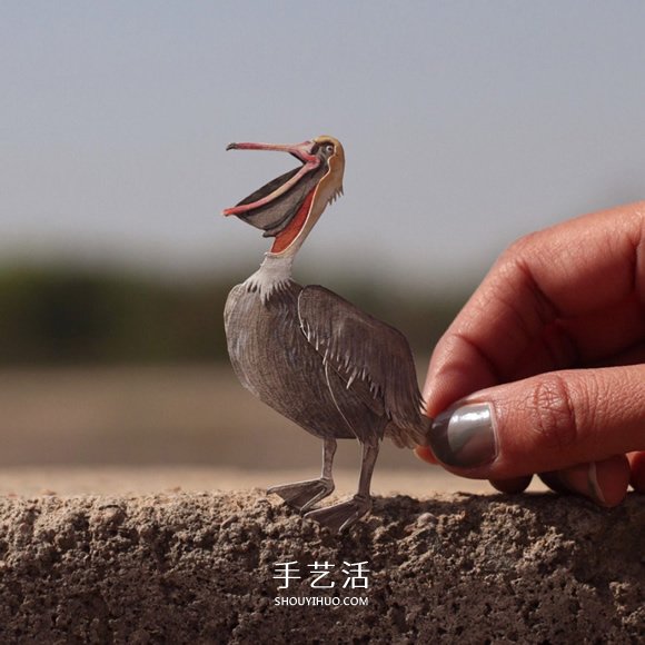 365天的堅(jiān)持！剪紙出微型相思鳥(niǎo)、黃鸝…… -  rpnrmr.com