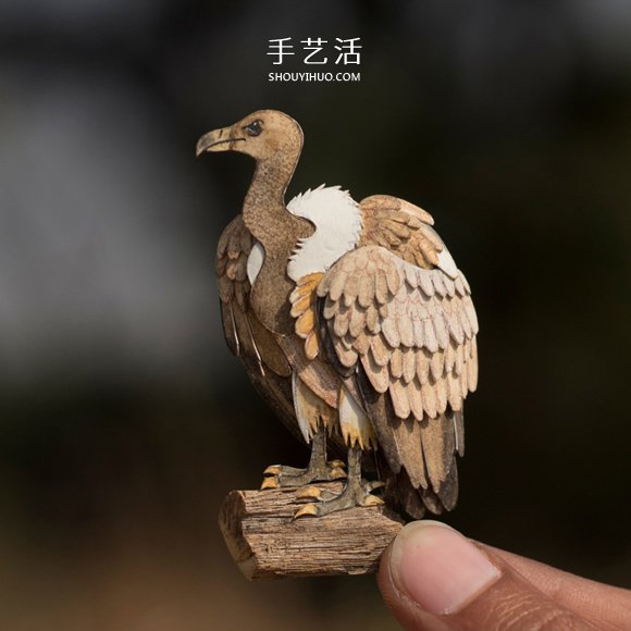 365天的堅(jiān)持！剪紙出微型相思鳥(niǎo)、黃鸝…… -  rpnrmr.com