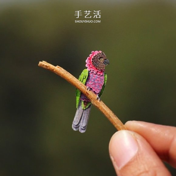 365天的堅(jiān)持！剪紙出微型相思鳥(niǎo)、黃鸝…… -  rpnrmr.com
