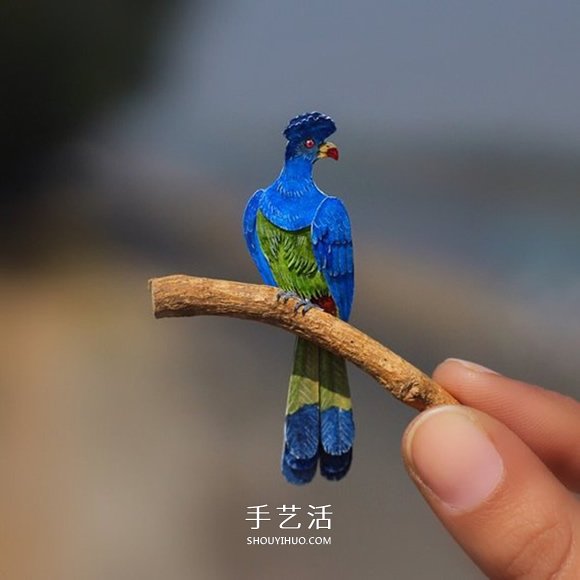 365天的堅(jiān)持！剪紙出微型相思鳥(niǎo)、黃鸝…… -  rpnrmr.com