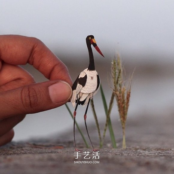 365天的堅(jiān)持！剪紙出微型相思鳥(niǎo)、黃鸝…… -  rpnrmr.com