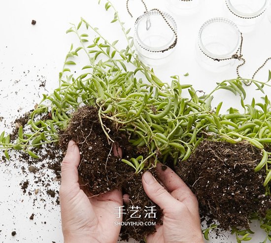 迷人的吊燈裝飾！枯枝和玻璃罐的再利用DIY -  rpnrmr.com