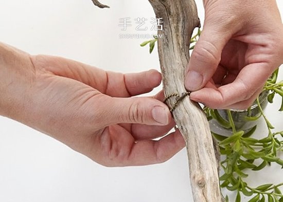 迷人的吊燈裝飾！枯枝和玻璃罐的再利用DIY -  rpnrmr.com