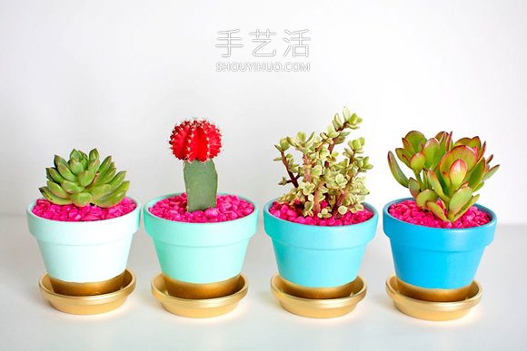 多肉花盆卡通畫！簡(jiǎn)單手繪改造出超萌款 -  rpnrmr.com