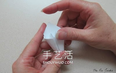 16款各種花DIY制作的迷人手工藝品裝飾 -  rpnrmr.com