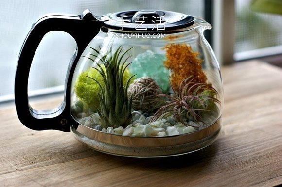 舊咖啡壺改造 DIY制作空氣植物盆景的方法 -  rpnrmr.com