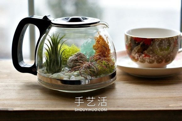 舊咖啡壺改造 DIY制作空氣植物盆景的方法 -  rpnrmr.com
