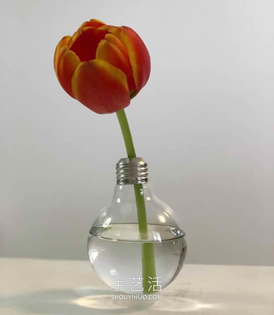 極簡風(fēng)格！用舊燈泡DIY優(yōu)雅花瓶的方法 -  rpnrmr.com