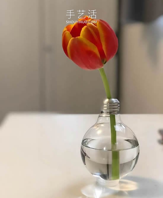 極簡風(fēng)格！用舊燈泡DIY優(yōu)雅花瓶的方法 -  rpnrmr.com