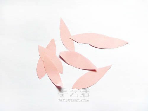 幼兒園手工制作夏日睡蓮的方法教程 -  rpnrmr.com