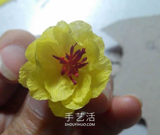 皺紋紙手工制作簡(jiǎn)單臘梅花的做法教程 -  rpnrmr.com