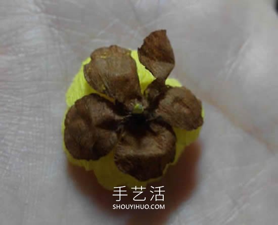 皺紋紙手工制作簡(jiǎn)單臘梅花的做法教程 -  rpnrmr.com