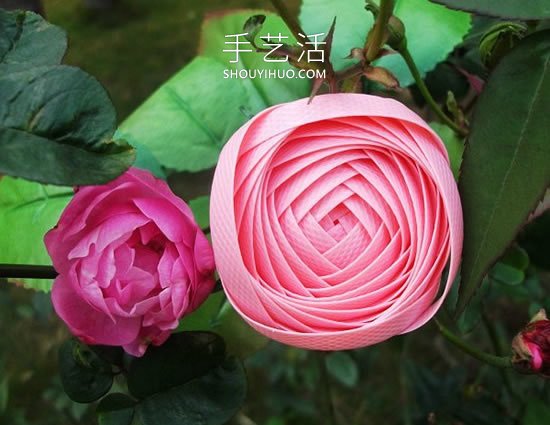 塑料包裝帶編織玫瑰花的方法圖解教程 -  rpnrmr.com