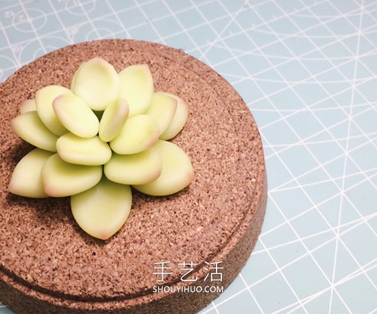 逼真的粘土多肉植物手工制作圖解教程 -  rpnrmr.com