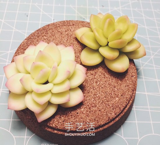 逼真的粘土多肉植物手工制作圖解教程 -  rpnrmr.com