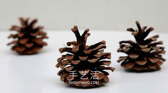 幼兒簡單手工制作松果紅蘋果的做法教程 -  rpnrmr.com