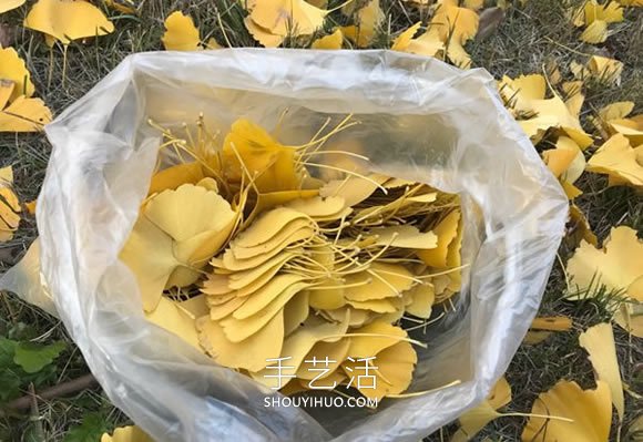 自制銀杏葉玫瑰花的方法圖解教程 -  rpnrmr.com