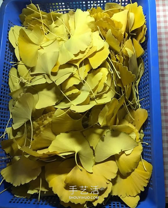 自制銀杏葉玫瑰花的方法圖解教程 -  rpnrmr.com