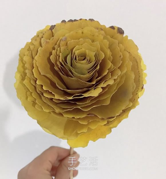 自制銀杏葉玫瑰花的方法圖解教程 -  rpnrmr.com