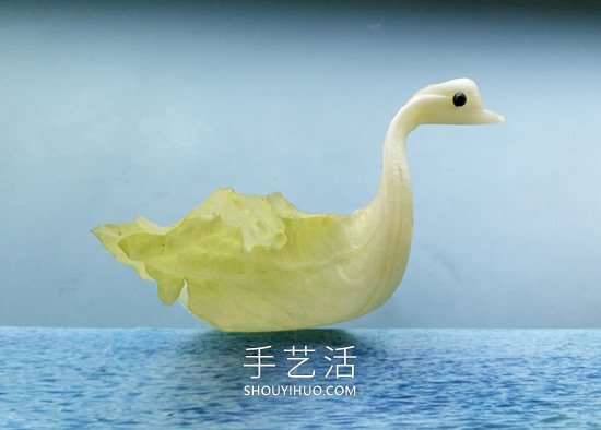 潛伏在蔬菜中的動物真不少，你發(fā)現(xiàn)了嗎？ -  rpnrmr.com