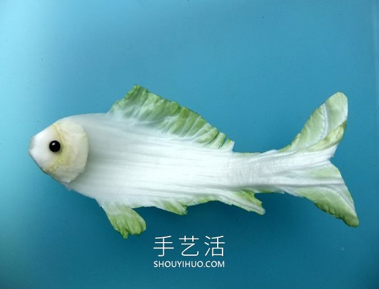 潛伏在蔬菜中的動物真不少，你發(fā)現(xiàn)了嗎？ -  rpnrmr.com