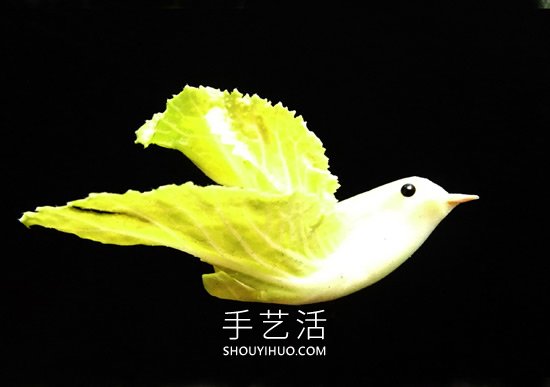 潛伏在蔬菜中的動物真不少，你發(fā)現(xiàn)了嗎？ -  rpnrmr.com