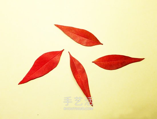 巧用樹葉、桂圓核做創(chuàng)意蜻蜓 -  rpnrmr.com