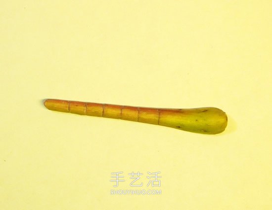 巧用樹葉、桂圓核做創(chuàng)意蜻蜓 -  rpnrmr.com