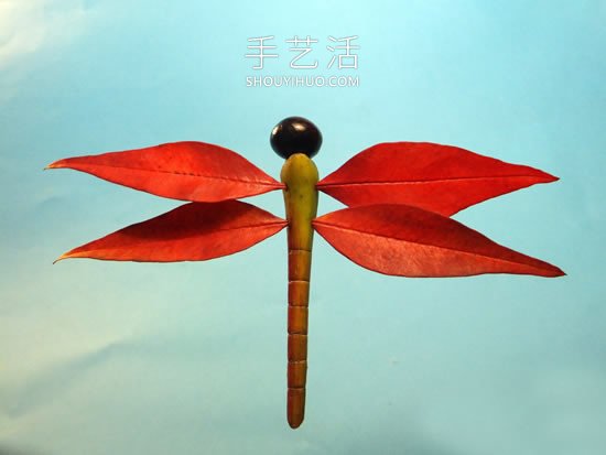 巧用樹葉、桂圓核做創(chuàng)意蜻蜓 -  rpnrmr.com
