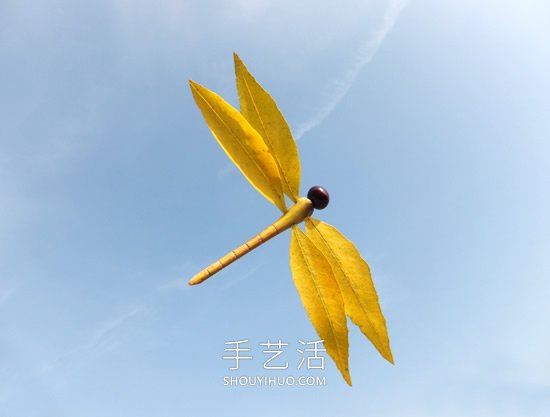 巧用樹葉、桂圓核做創(chuàng)意蜻蜓 -  rpnrmr.com
