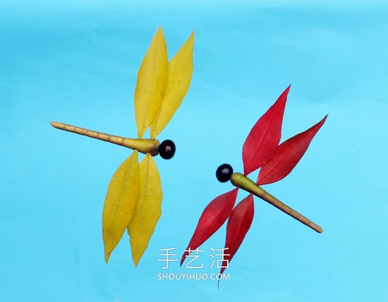 巧用樹葉、桂圓核做創(chuàng)意蜻蜓 -  rpnrmr.com