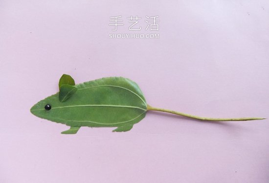 秋天樹葉拼出十二生肖動物 簡單易學(xué)一看就懂 -  rpnrmr.com