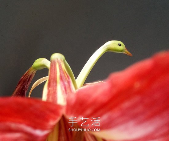 花兒還可以這樣玩！創(chuàng)意讓花兒變得這么有趣 -  rpnrmr.com