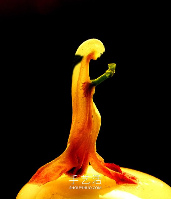 花兒還可以這樣玩！創(chuàng)意讓花兒變得這么有趣 -  rpnrmr.com