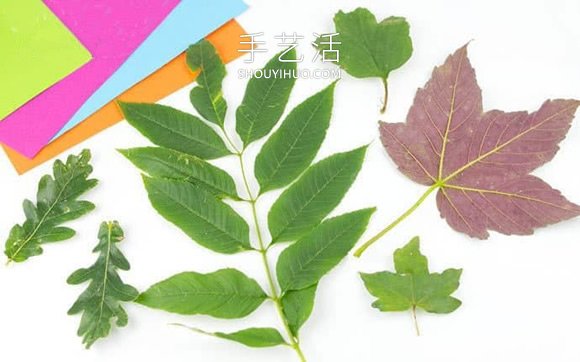 幼兒園手工制作秋天樹葉印畫的做法教程 -  rpnrmr.com