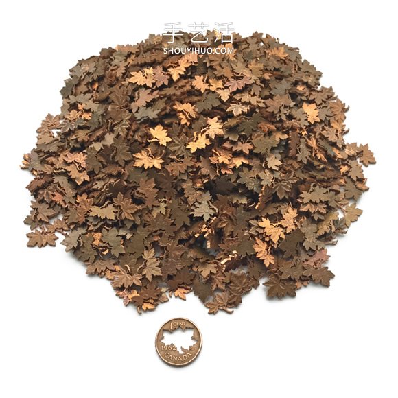 切割硬幣浮雕 多倫多藝術(shù)家的硬幣雕刻藝術(shù) -  rpnrmr.com