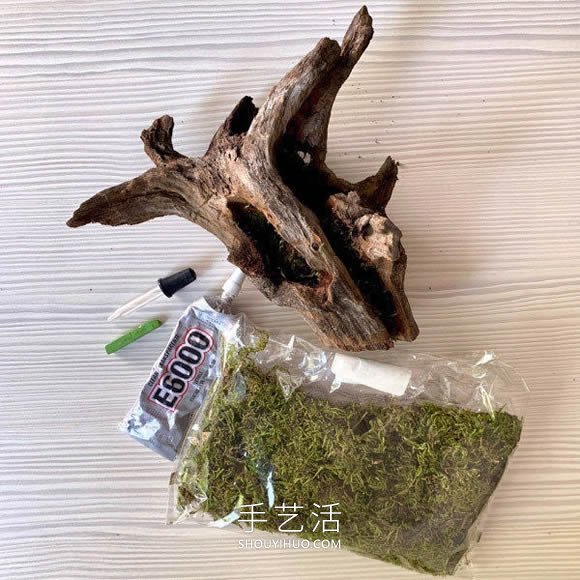撿回雪松樹(shù)干當(dāng)花盆 DIY制作多肉盆景的方法 -  rpnrmr.com