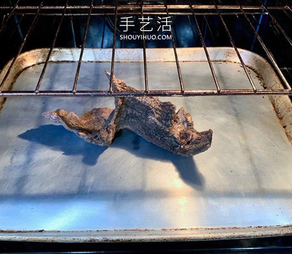 撿回雪松樹(shù)干當(dāng)花盆 DIY制作多肉盆景的方法 -  rpnrmr.com