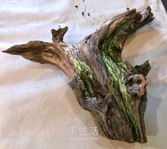 撿回雪松樹(shù)干當(dāng)花盆 DIY制作多肉盆景的方法 -  rpnrmr.com