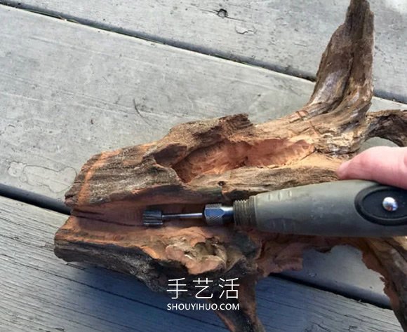 撿回雪松樹(shù)干當(dāng)花盆 DIY制作多肉盆景的方法 -  rpnrmr.com