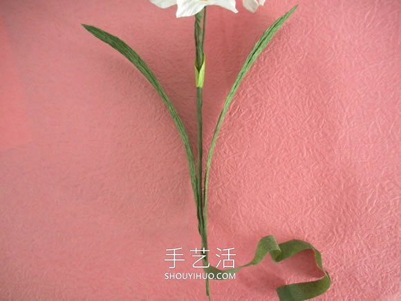 簡單自制皺紋紙水仙花的方法圖解教程 -  rpnrmr.com
